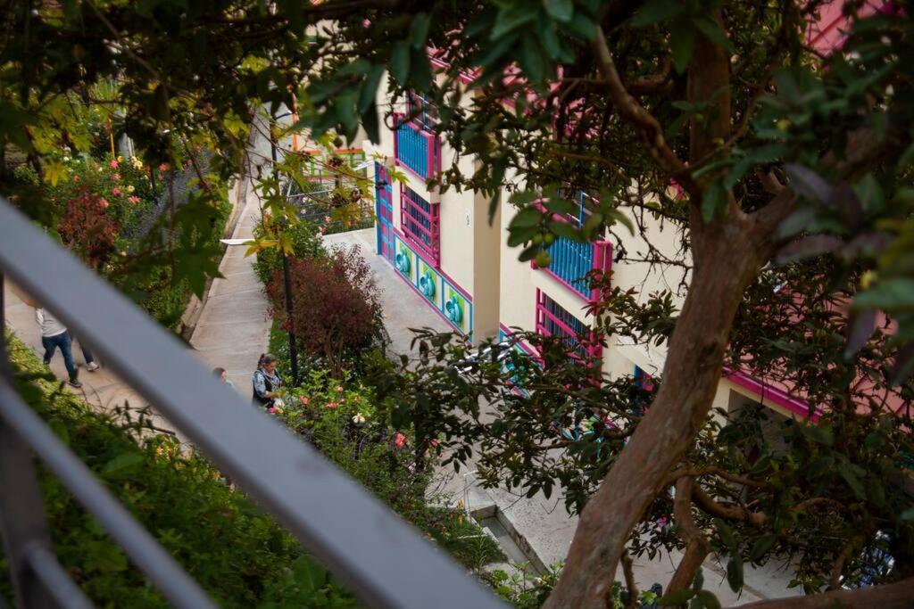 Duplex Familiar Apartment Nature Guatape Ngoại thất bức ảnh